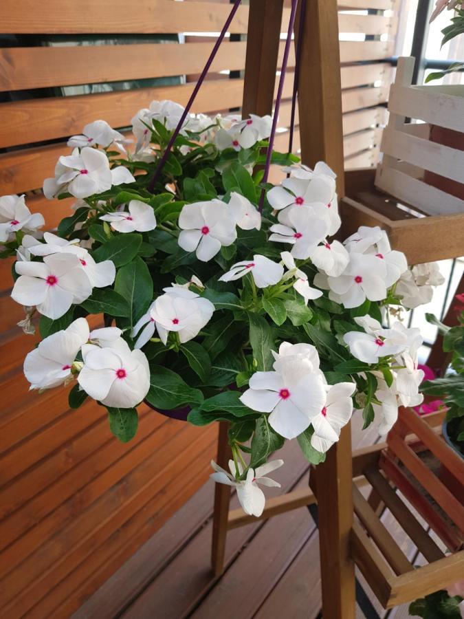 La Terrazza Di Carolina Acomodação com café da manhã Agrigento Exterior foto