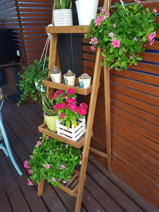 La Terrazza Di Carolina Acomodação com café da manhã Agrigento Exterior foto